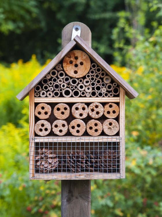Insect House